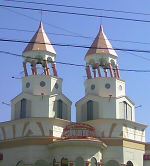 sinsai
